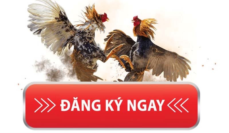 Đăng Ký GA3979