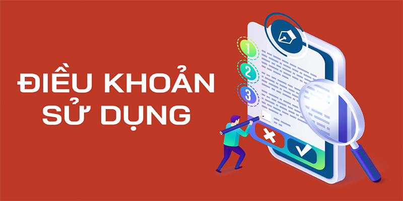 Đánh giá và phản hồi của người dùng